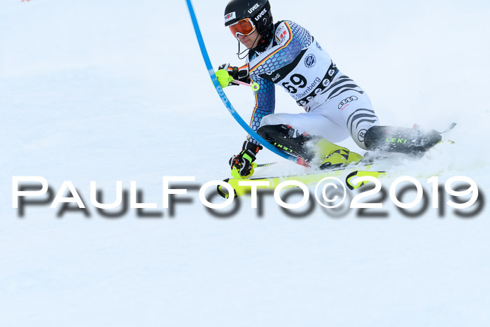 Slalom, NJC AC + FIS L+M