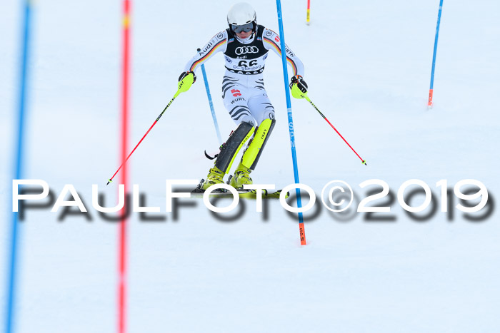 Slalom, NJC AC + FIS L+M