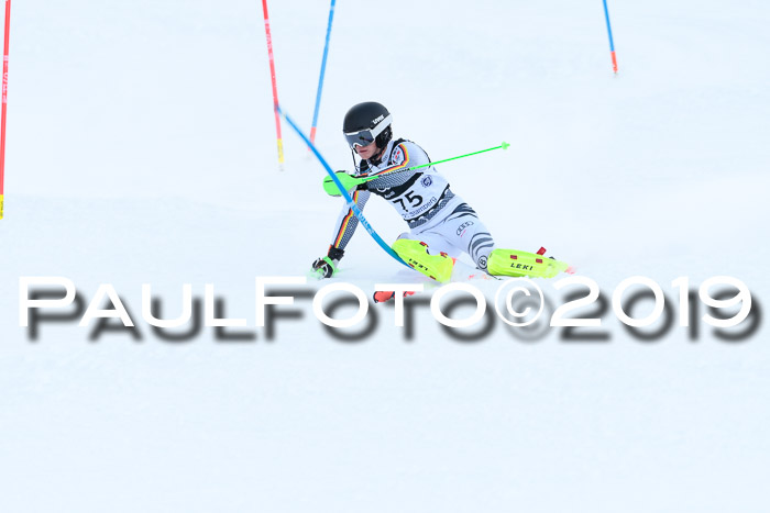 Slalom, NJC AC + FIS L+M