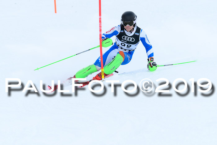 Slalom, NJC AC + FIS L+M