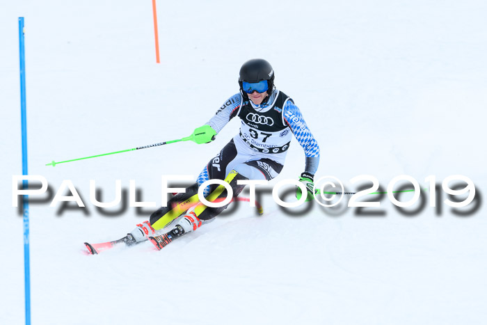 Slalom, NJC AC + FIS L+M