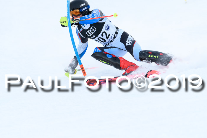 Slalom, NJC AC + FIS L+M