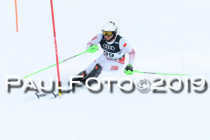 Slalom, NJC AC + FIS L+M