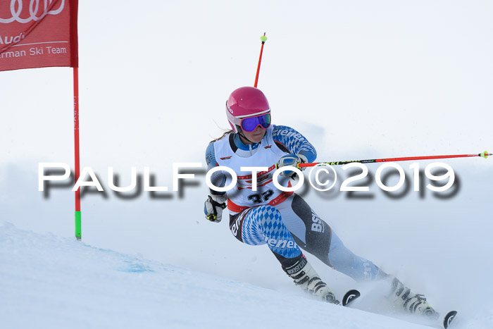 Dt. Schülercup U16 Riesenslalom, 15.12.2019