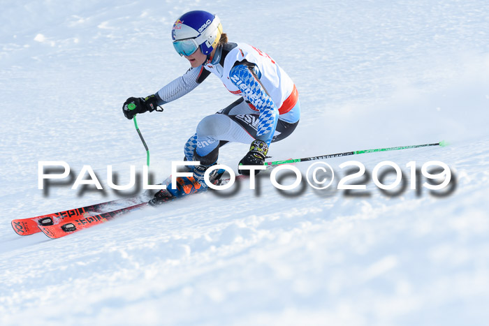 Dt. Schülercup U16 Riesenslalom, 15.12.2019