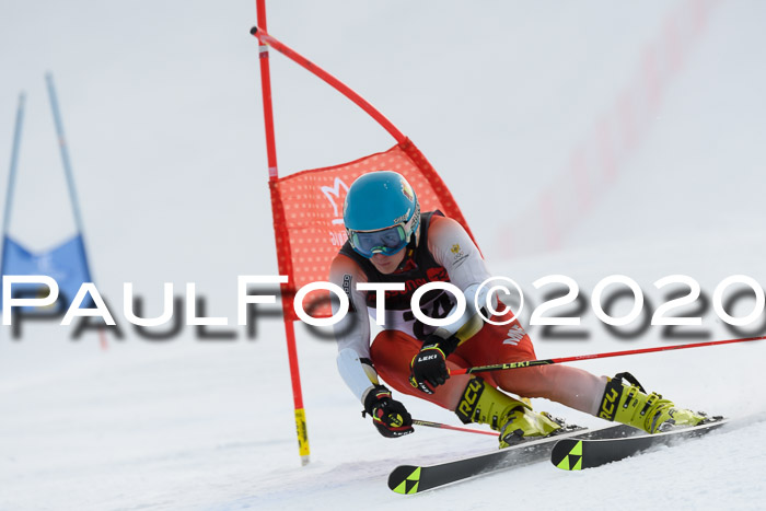 Int. FIS NJR Herren, RS, Maria Alm 08.01.2020