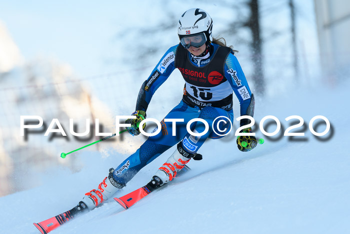 FIS Damen, RS, Maria Alm 09.01.2020