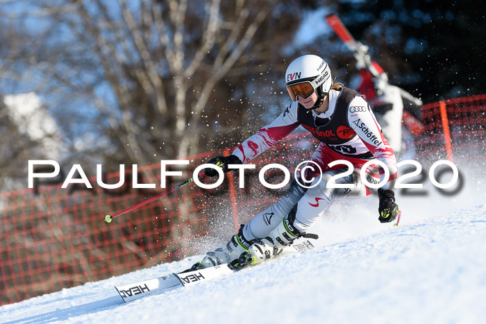 FIS Damen, RS, Maria Alm 09.01.2020