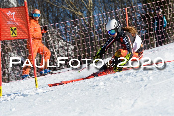 FIS Damen, RS, Maria Alm 09.01.2020
