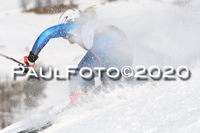 FIS Damen, RS, Maria Alm 09.01.2020
