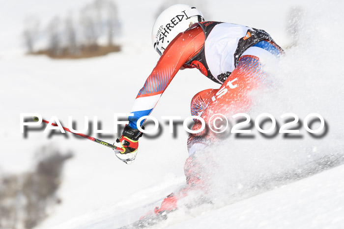 FIS Damen, RS, Maria Alm 09.01.2020