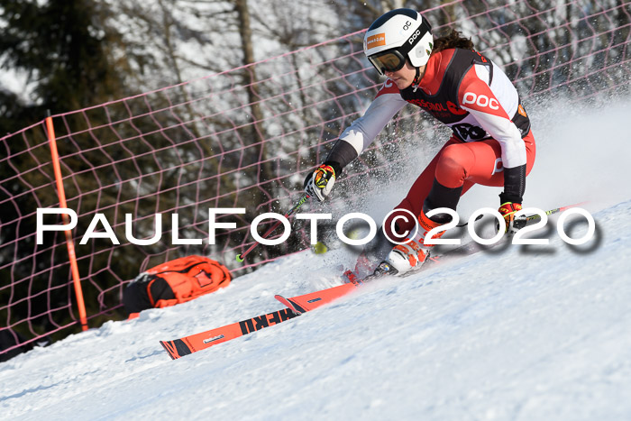 FIS Damen, RS, Maria Alm 09.01.2020
