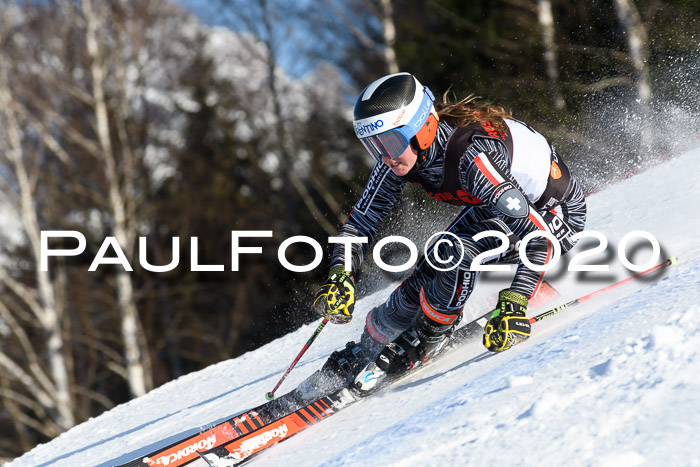 FIS Damen, RS 2, Maria Alm 09.01.2020
