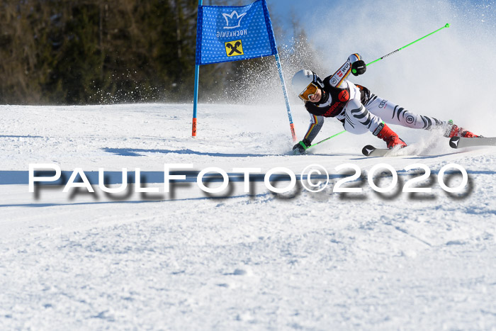 FIS Damen, RS 2, Maria Alm 09.01.2020