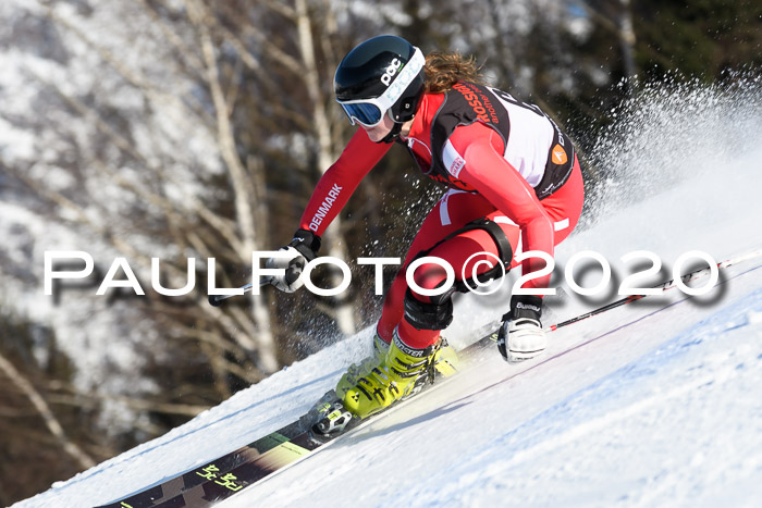 FIS Damen, RS 2, Maria Alm 09.01.2020