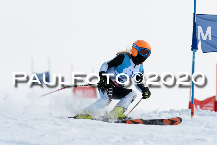 Sechzger Pokal der Skilöwen; U12 Rennserie VRS 11.01.2020