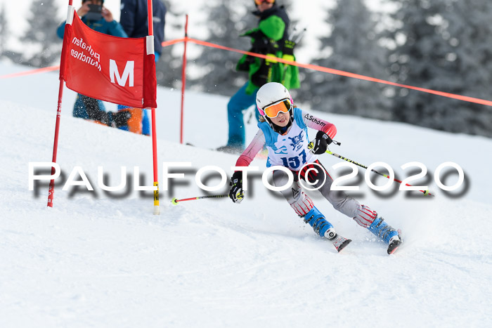 Sechzger Pokal der Skilöwen; U12 Rennserie VRS 11.01.2020