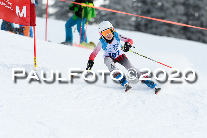 Sechzger Pokal der Skilöwen; U12 Rennserie VRS 11.01.2020