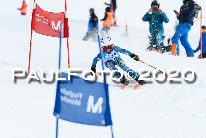 Sechzger Pokal der Skilöwen; U12 Rennserie VRS 11.01.2020