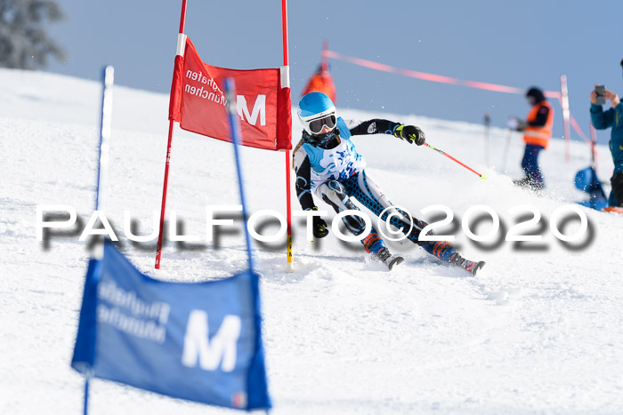 Sechzger Pokal der Skilöwen; U12 Rennserie VRS 11.01.2020
