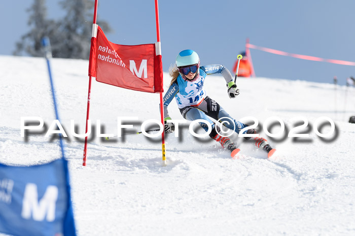 Sechzger Pokal der Skilöwen; U12 Rennserie VRS 11.01.2020