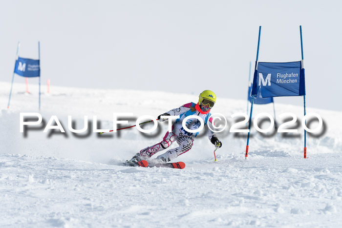 Sechzger Pokal der Skilöwen; U12 Rennserie VRS 11.01.2020