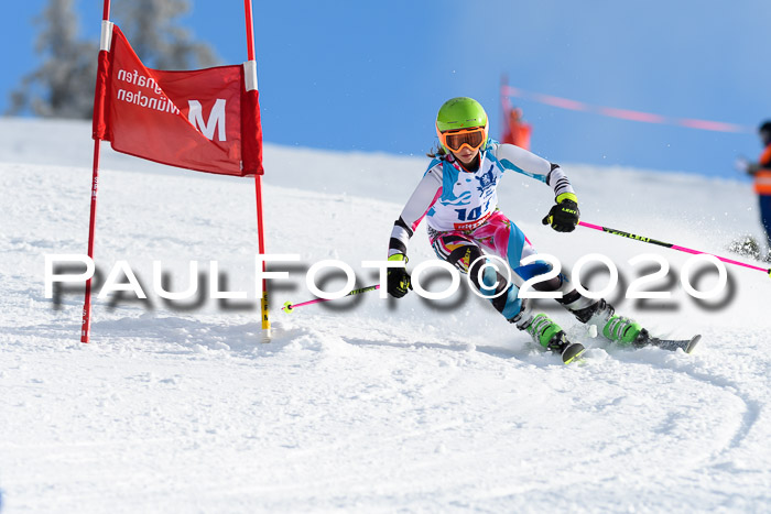 Sechzger Pokal der Skilöwen; U12 Rennserie VRS 11.01.2020