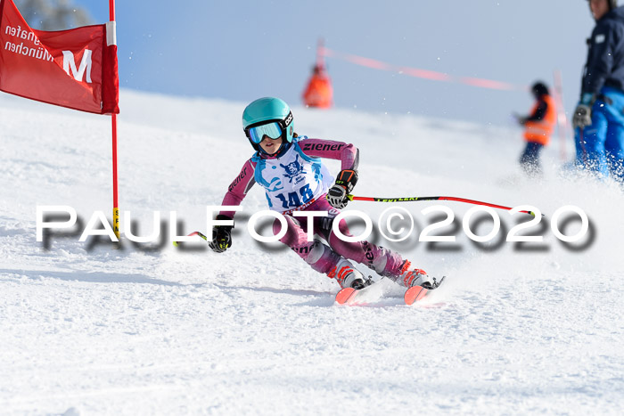 Sechzger Pokal der Skilöwen; U12 Rennserie VRS 11.01.2020