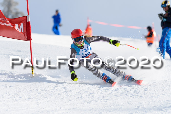 Sechzger Pokal der Skilöwen; U12 Rennserie VRS 11.01.2020