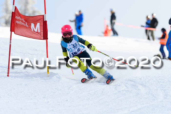 Sechzger Pokal der Skilöwen; U12 Rennserie VRS 11.01.2020
