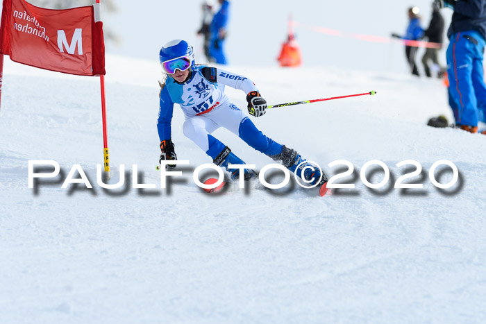Sechzger Pokal der Skilöwen; U12 Rennserie VRS 11.01.2020