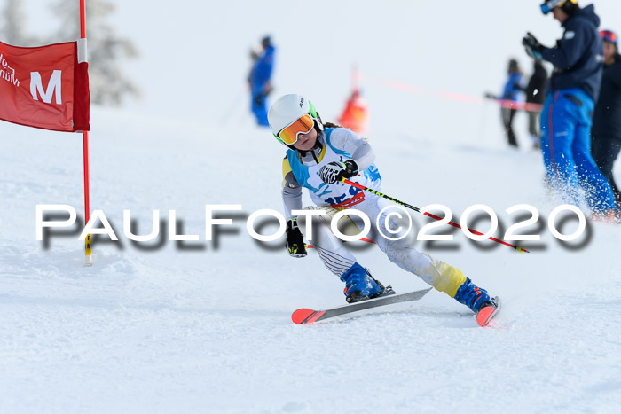 Sechzger Pokal der Skilöwen; U12 Rennserie VRS 11.01.2020