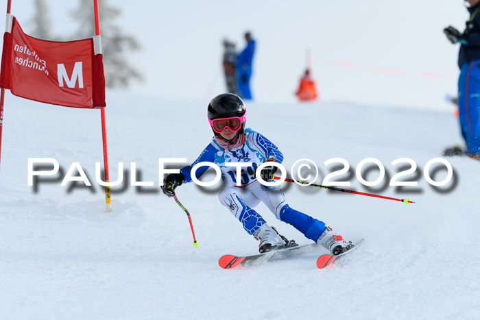Sechzger Pokal der Skilöwen; U12 Rennserie VRS 11.01.2020