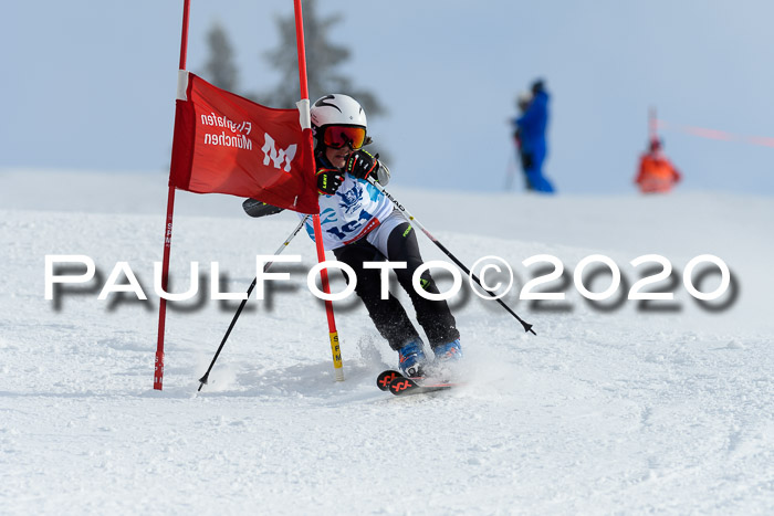 Sechzger Pokal der Skilöwen; U12 Rennserie VRS 11.01.2020