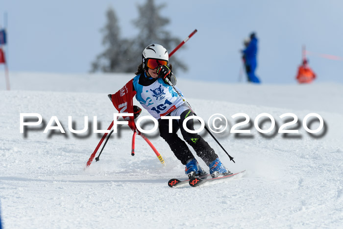 Sechzger Pokal der Skilöwen; U12 Rennserie VRS 11.01.2020