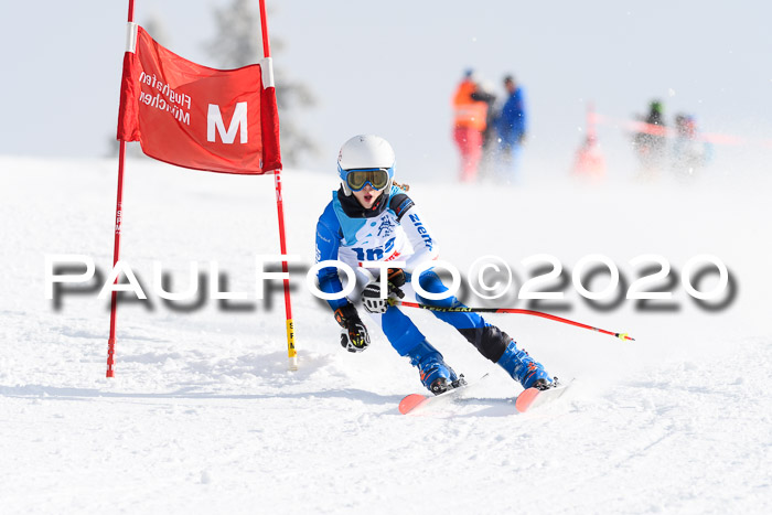 Sechzger Pokal der Skilöwen; U12 Rennserie VRS 11.01.2020