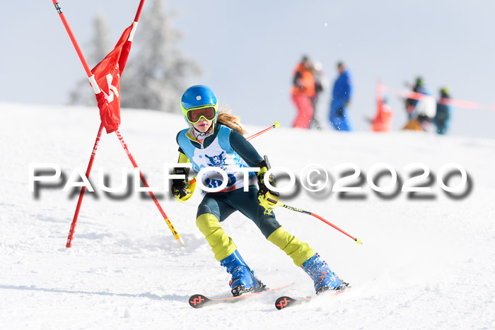 Sechzger Pokal der Skilöwen; U12 Rennserie VRS 11.01.2020