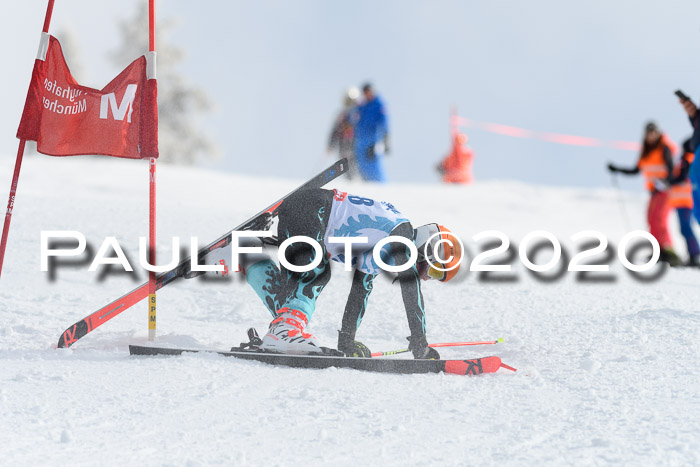 Sechzger Pokal der Skilöwen; U12 Rennserie VRS 11.01.2020