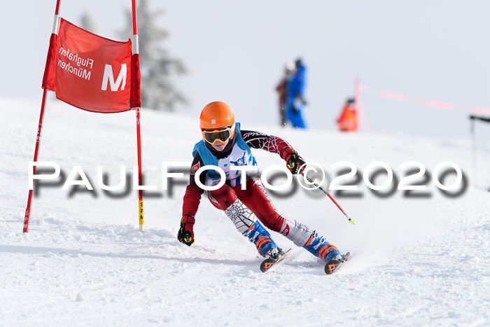 Sechzger Pokal der Skilöwen; U12 Rennserie VRS 11.01.2020
