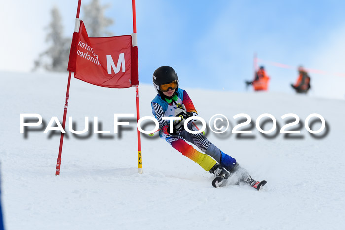 Sechzger Pokal der Skilöwen; U12 Rennserie VRS 11.01.2020