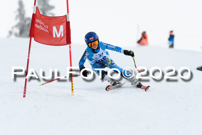 Sechzger Pokal der Skilöwen; U12 Rennserie VRS 11.01.2020