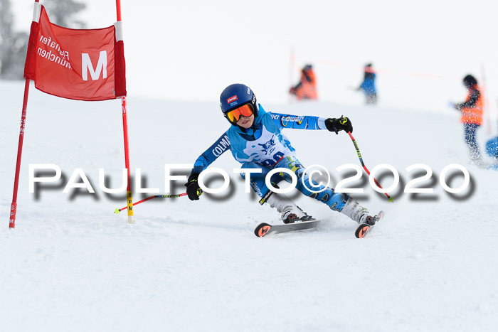 Sechzger Pokal der Skilöwen; U12 Rennserie VRS 11.01.2020