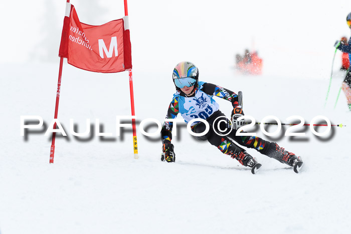 Sechzger Pokal der Skilöwen; U12 Rennserie VRS 11.01.2020