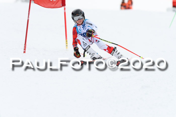 Sechzger Pokal der Skilöwen; U12 Rennserie VRS 11.01.2020