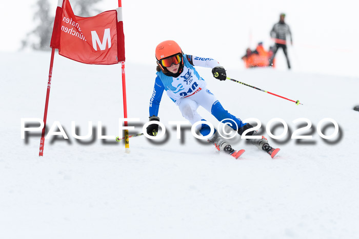 Sechzger Pokal der Skilöwen; U12 Rennserie VRS 11.01.2020
