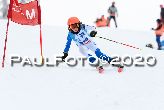 Sechzger Pokal der Skilöwen; U12 Rennserie VRS 11.01.2020