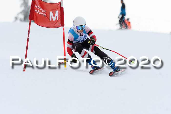 Sechzger Pokal der Skilöwen; U12 Rennserie VRS 11.01.2020