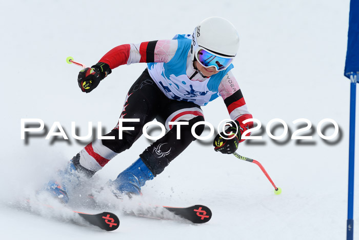 Sechzger Pokal der Skilöwen; U12 Rennserie VRS 11.01.2020