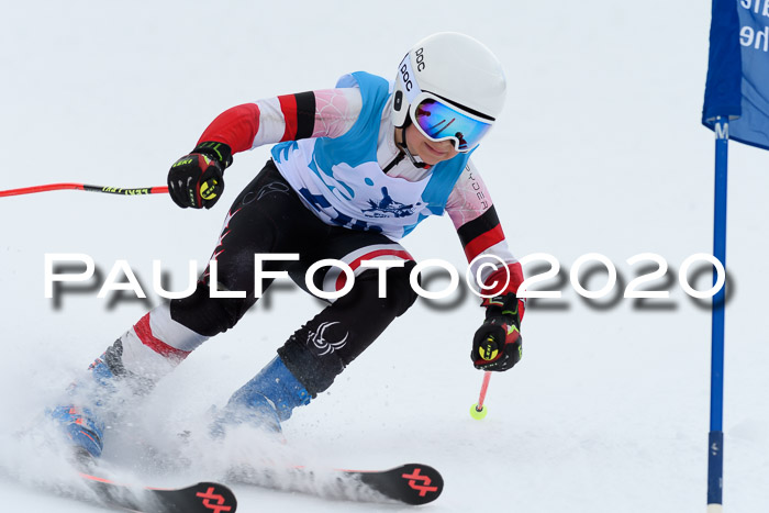 Sechzger Pokal der Skilöwen; U12 Rennserie VRS 11.01.2020