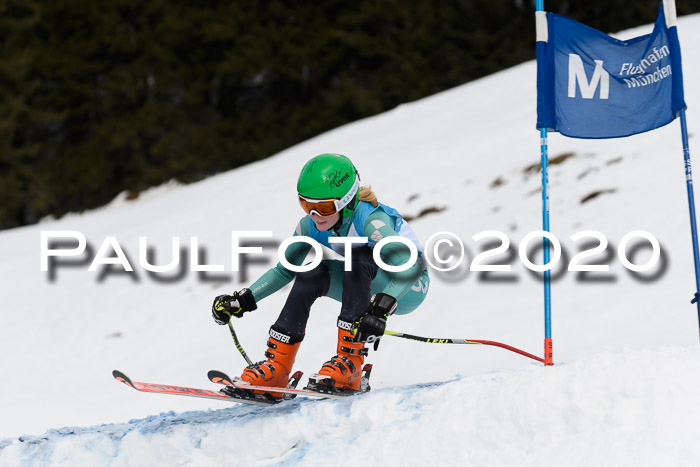Sechzger Pokal der Skilöwen; U12 Rennserie VRS 11.01.2020